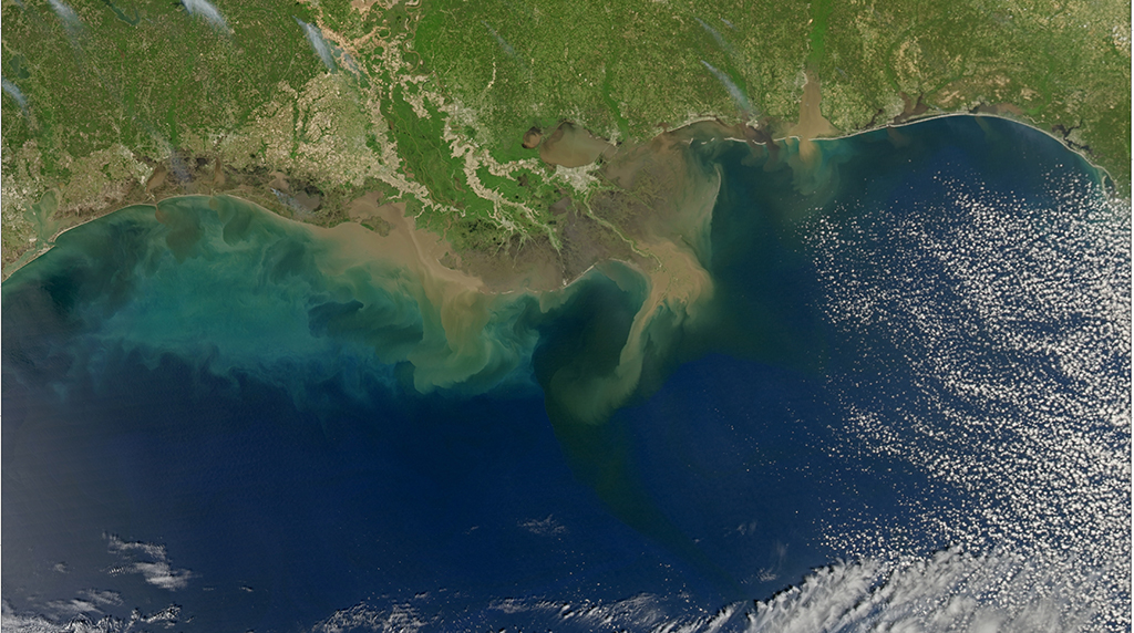 Highly variable nutrient concentrations measured in the Northern Gulf of Mexico