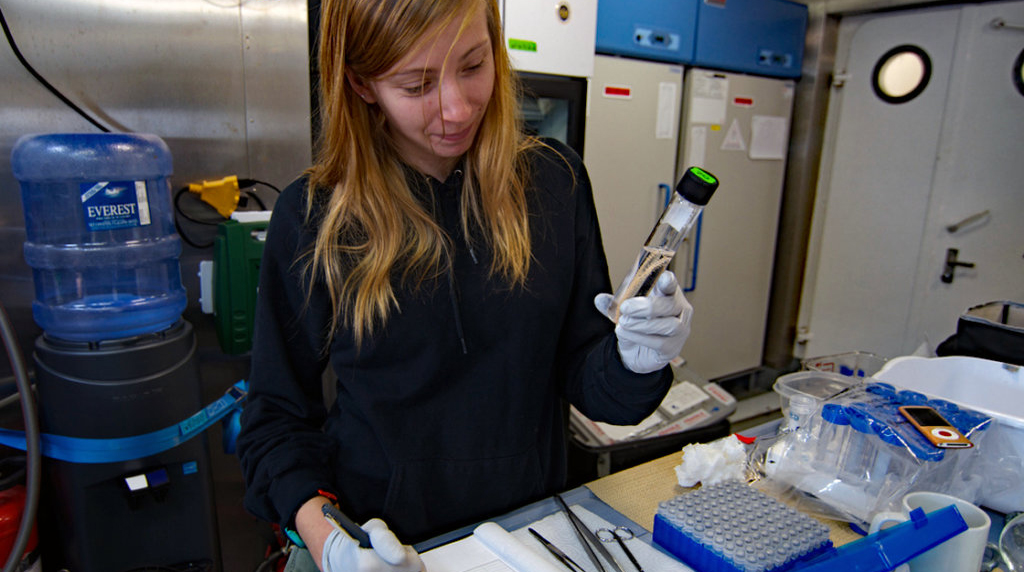 Grad Student Used Genetics to Explore Oil, Dispersant Effects on Deep Sea Corals
